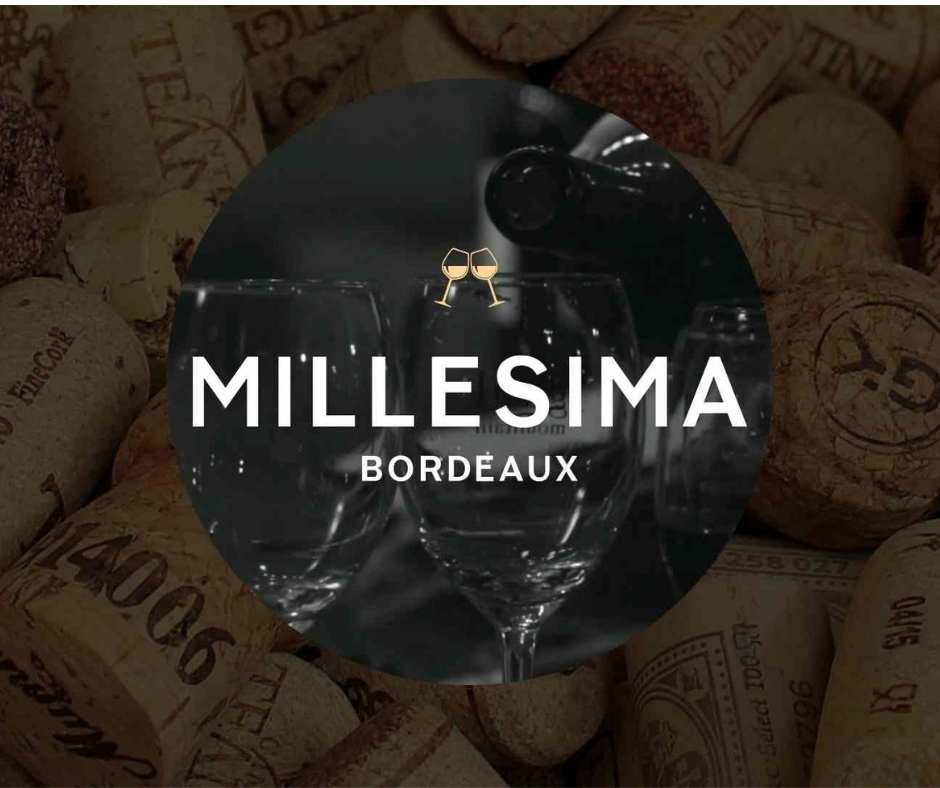 millesima, projet esd, paul velez