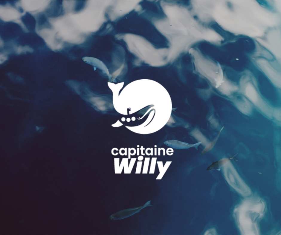 capitaine willy, UI design, projet esd, paul velez