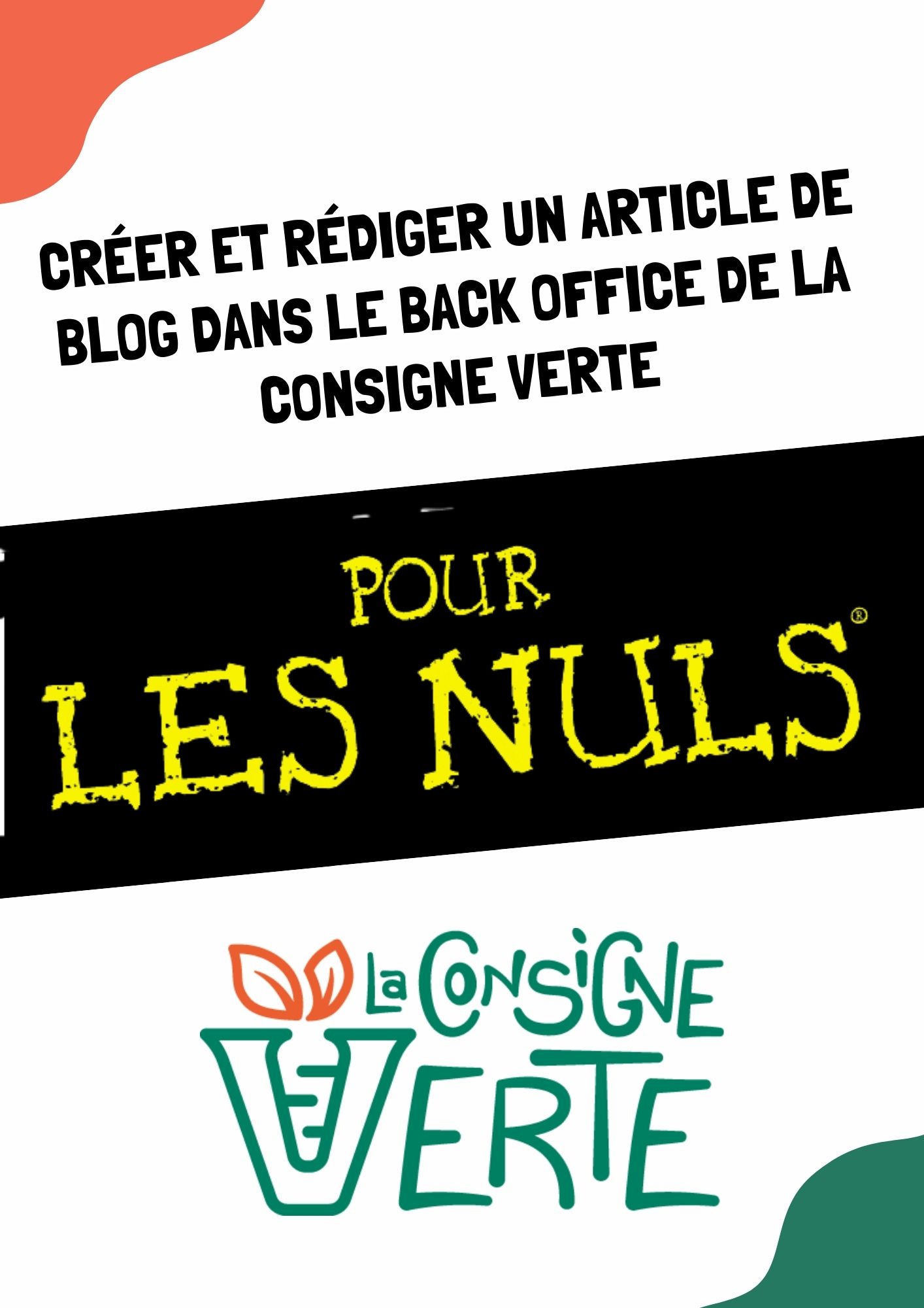 guide pour les nuls, redaction blog