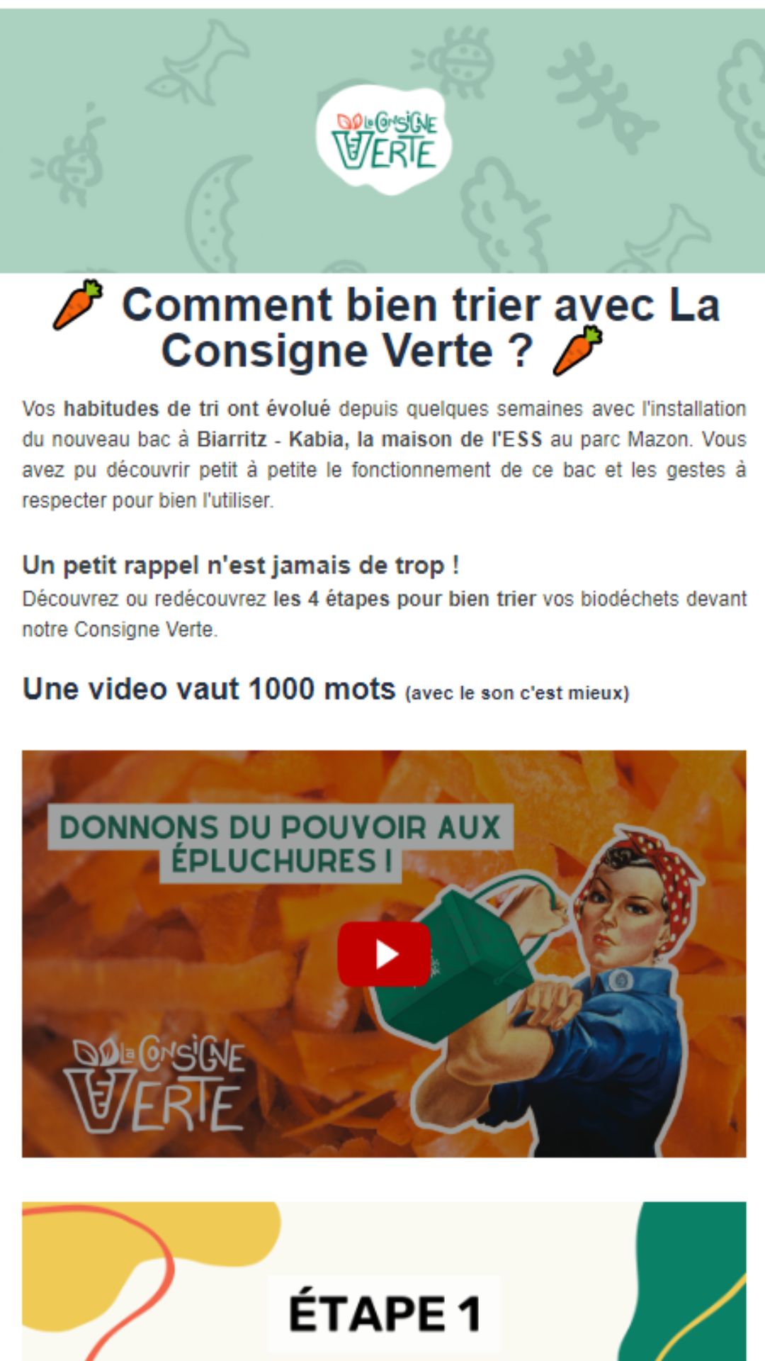 newsletter, sendinblue, la consigne verte