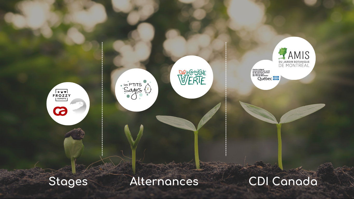 stages, alternance, cdi, experience, emploi