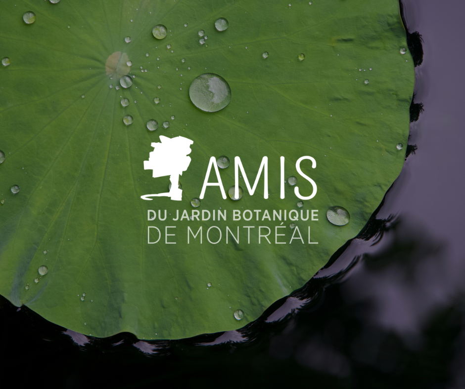 amis du jardin botanique de montreal, paul velez, portfolio